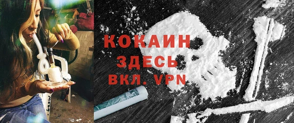 винт Абаза