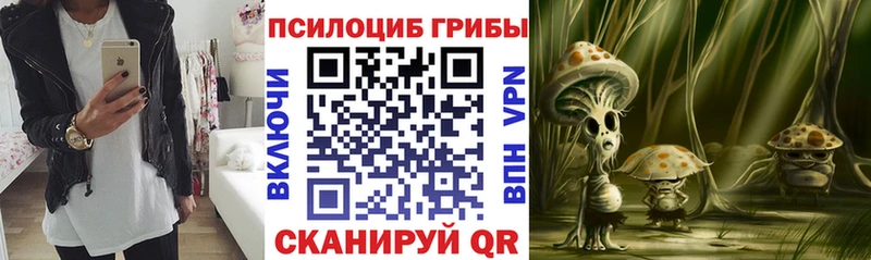 Псилоцибиновые грибы прущие грибы  Эртиль 